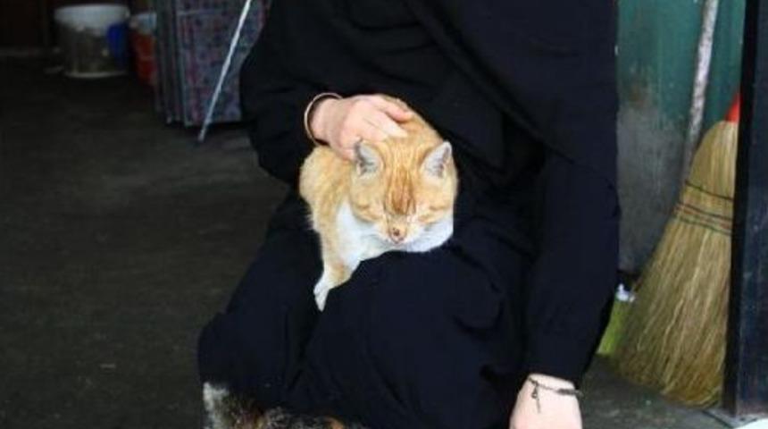 Yaşama D&ouml;nd&uuml;r&uuml;len Kedileri Sahiplendi
