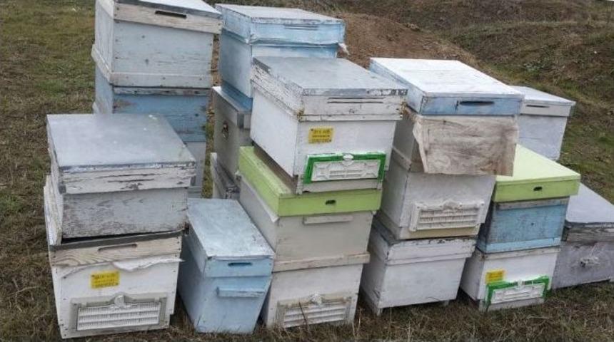 Bal Arısı Kovanı &Ccedil;alan Ş&uuml;pheli Yakalandı