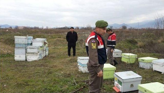 Bal Arısı Kovanı Çalan Şüpheli Yakalandı