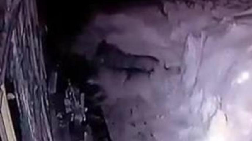 A&ccedil; Kalan Kurtlar K&ouml;peği Par&ccedil;aladı