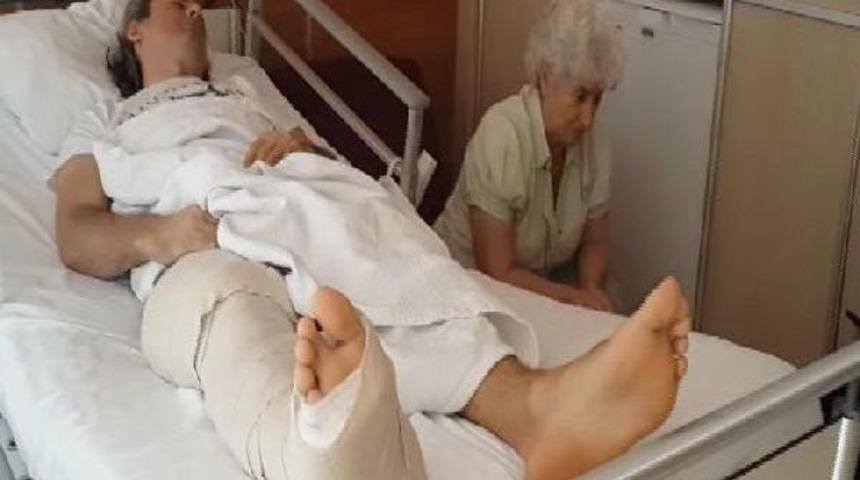 Rögara Düşen Görme Engelli Boz: Hukuksal Anlamda Ne Gerekiyorsa Yapılacak...