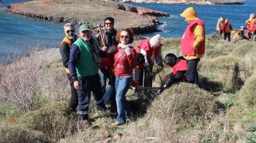 Aktiffelsefe Gea, Doğaya Can Verdi