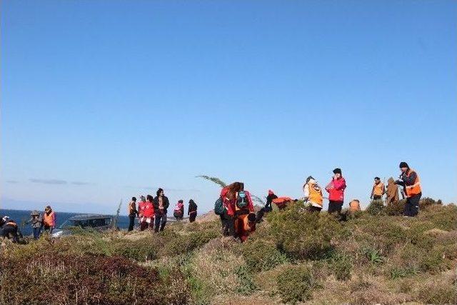 Aktiffelsefe Gea, Doğaya Can Verdi