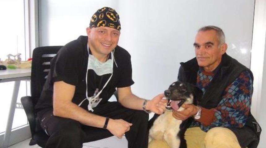 Hayvansever Nevzat Eski, Emekli Maaşıyla 60 K&ouml;pek Ve 6 Kediye Bakıyor