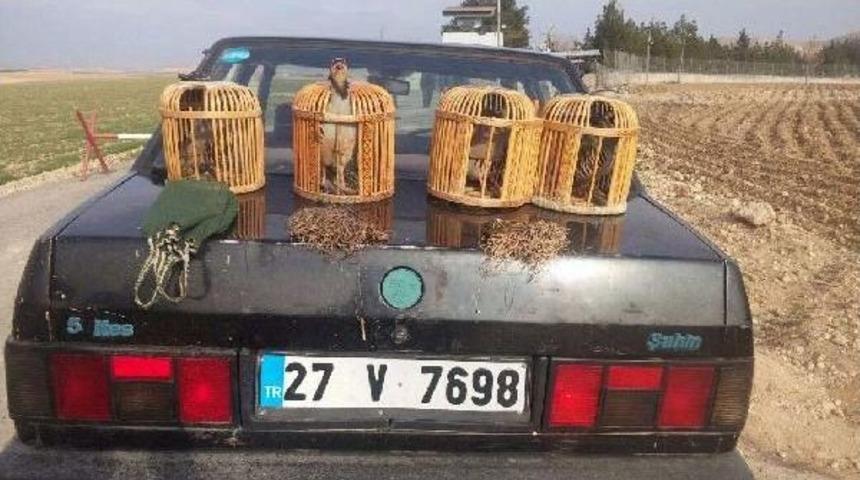 Birecik'te Tuzakla Keklik Avlayan 3 Kişiye Para Cezası