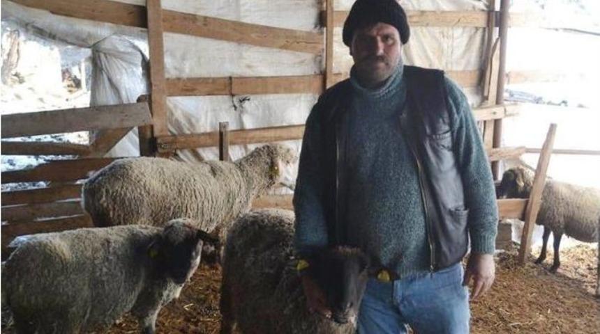 &Ouml;len Koyunu İ&ccedil;in Sosyal Medyadan Başsağlığı Mesajı Paylaştı