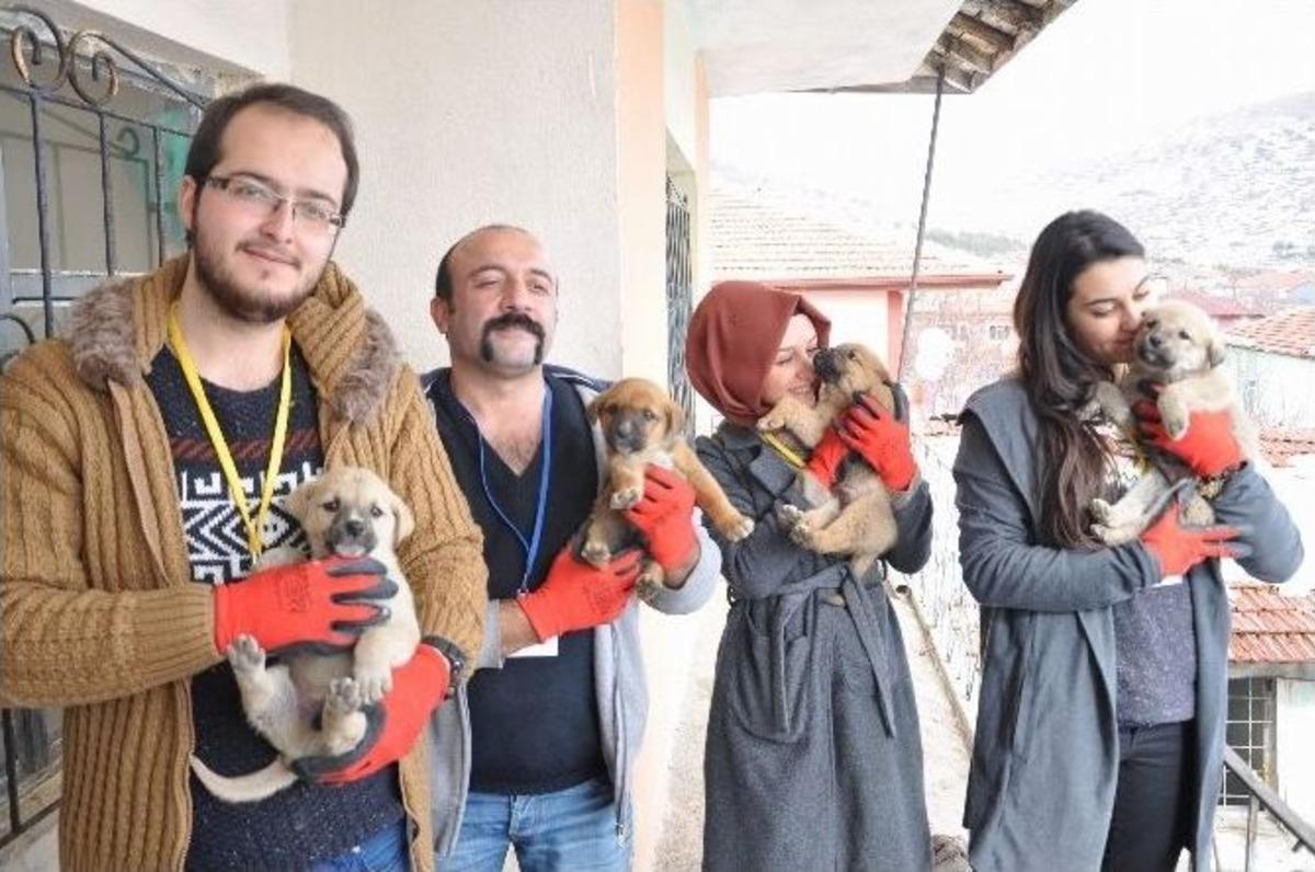 Yozgat&rsquo;ta Hayvan Koruma Ekibinden &Ouml;rnek Yardım
