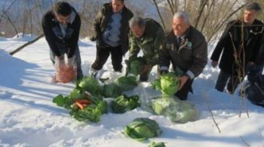 Ordu&rsquo;da Yaban Hayvanlarına 3 Ton Yem Bırakıldı