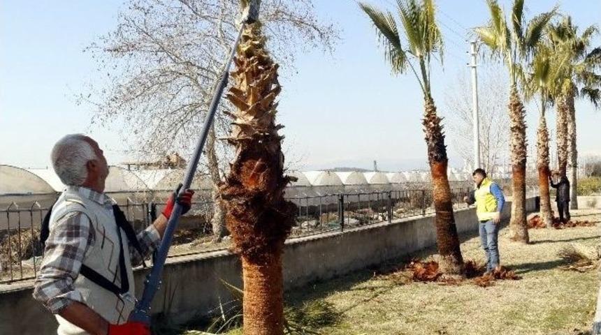 Akdeniz&rsquo;deki Park Ve Bah&ccedil;elere Bahar Bakımı