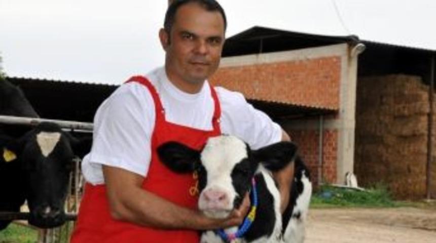 Manisa&rsquo;da Hayvancılığa Y&uuml;zde 50 Hibe Desteği