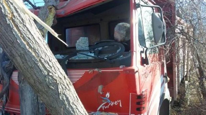 Ağa&ccedil;a &Ccedil;arpan Kamyonetin S&uuml;r&uuml;c&uuml;s&uuml; &Ouml;l&uuml; Bulundu