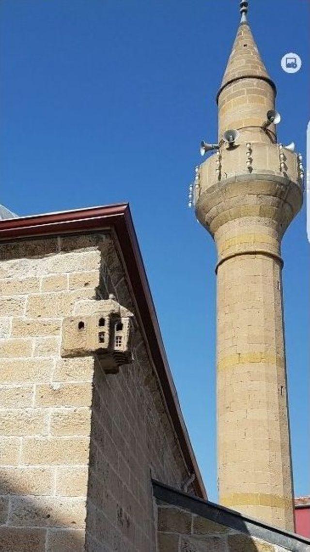 Cami Duvarında Bulunan Kuş Evi Büyük İlgi Görüyor