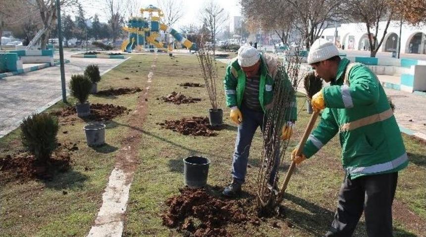 Haliliye&rsquo;de Parklar G&uuml;neşli G&uuml;nlere Hazırlanıyor