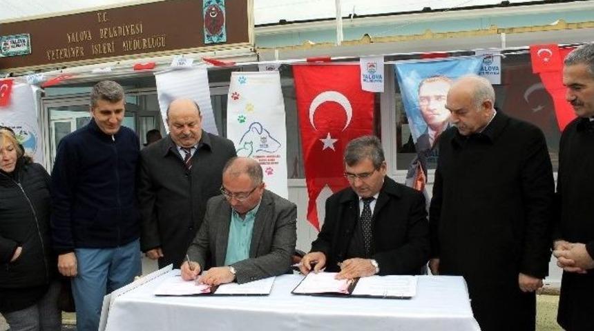 Hayvanlar İ&ccedil;in R&ouml;ntgen Cihazı Hizmete Girdi