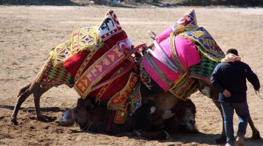 Bergama&rsquo;da 120 Devenin G&uuml;reşi Nefes Kesti