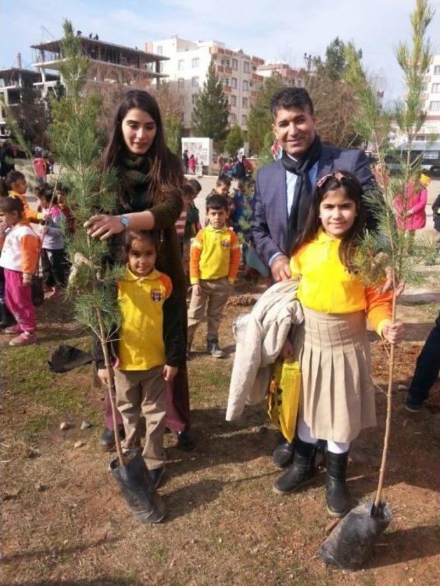 Öğretmen Ve Öğrencilerden Örnek Proje