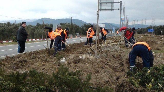 Havran’da Refüj Peyzaj Çalışmaları Devam Ediyor