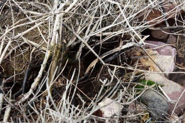 Deprem Bölgesinde 954 Yapı Hasar Gördü (3) 1