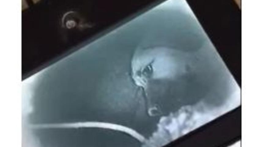 Yavru K&ouml;pek Kuyuya Sarkıtılan Kamerayla G&ouml;r&uuml;nt&uuml;lendi