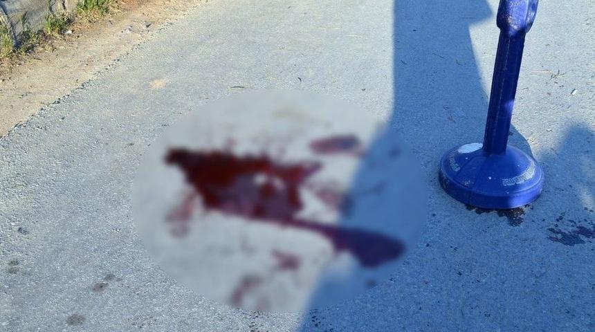 Didim&rsquo;de Silahlı Saldırı: 1 Yaralı