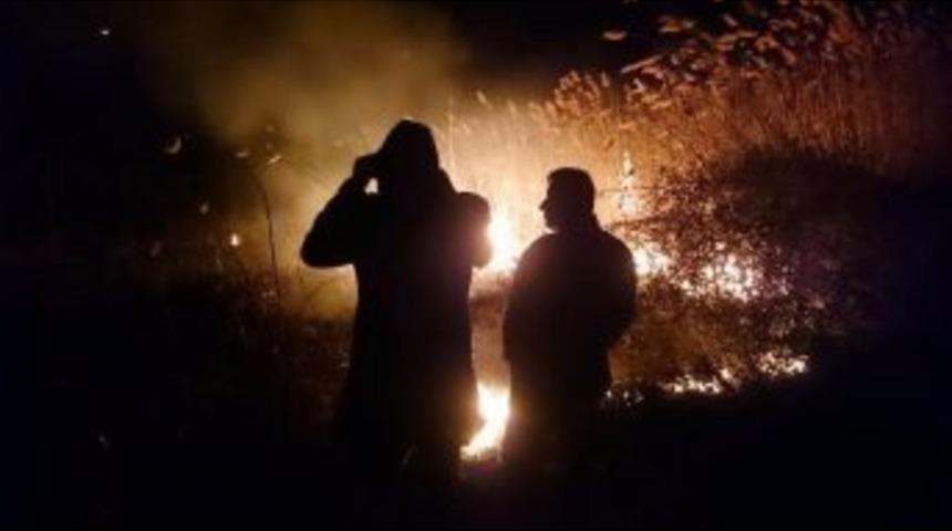 İznik G&ouml;l&uuml; Sazlıklarında Yangın