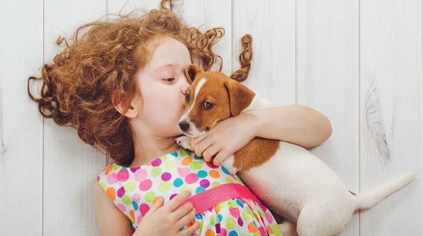 Sevgi Kareleri Yarışıyor