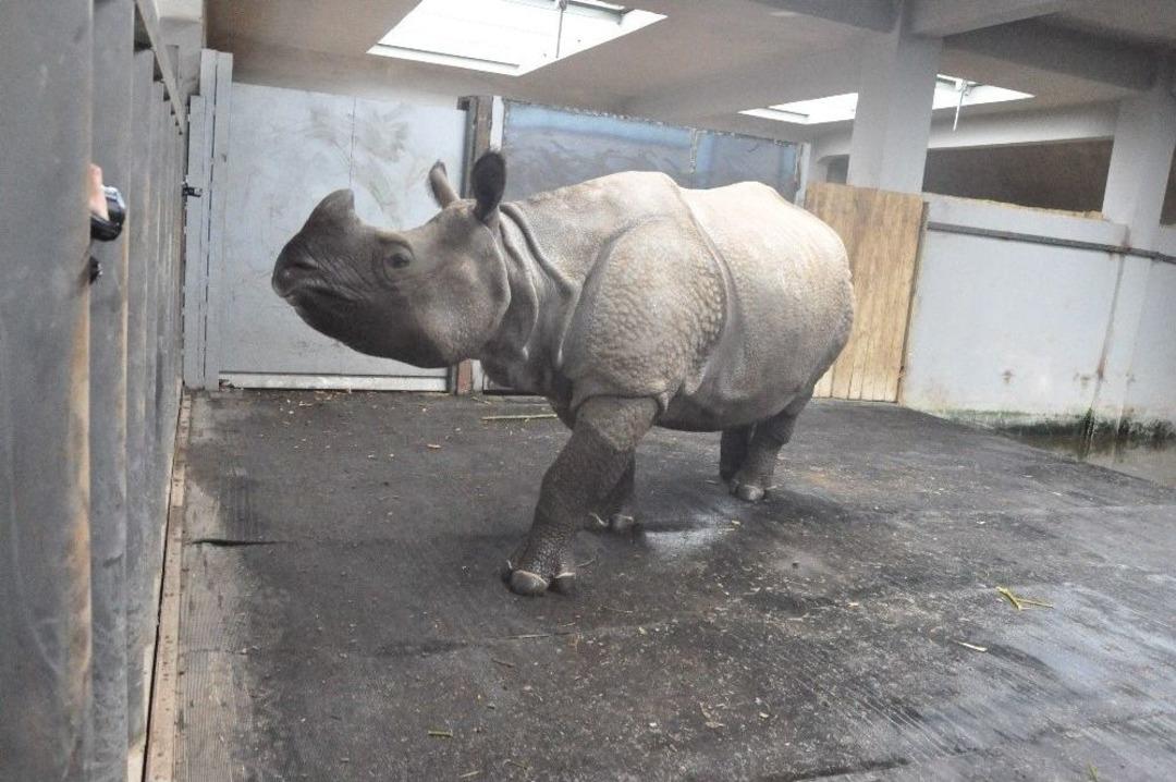 14 Şubat&rsquo;ta Hayvanlar Unutulmadı