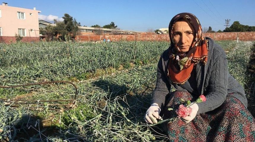 Satıcılar Fiyatlardan Feragat Etti, Sevgililer &Ccedil;i&ccedil;eksiz Kalmadı