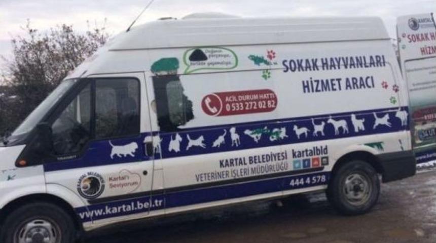 Kartal Belediyesinden Sokak Hayvanlarına Dost Eli
