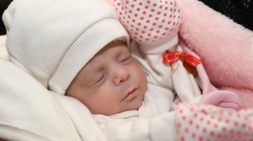 Hira Bebek Annesine Kavuştu