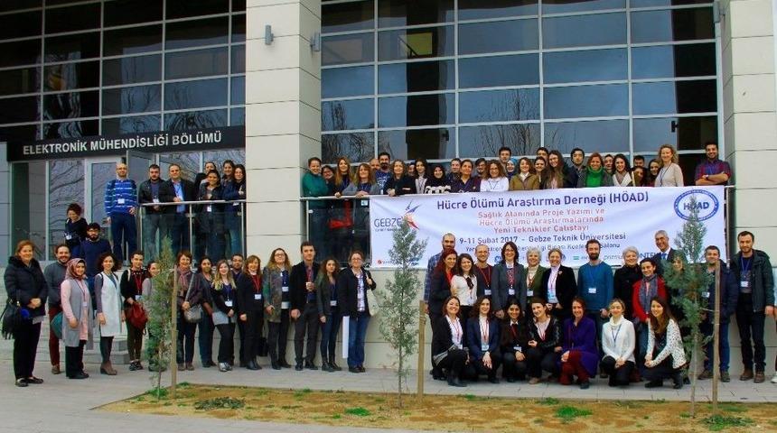 Gt&uuml;&rsquo;de H&uuml;cre &Ouml;l&uuml;mlerine &Ccedil;areler Arandı