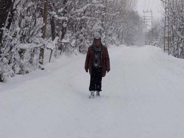 Gevaş ta Okullara Kar Tatili 1