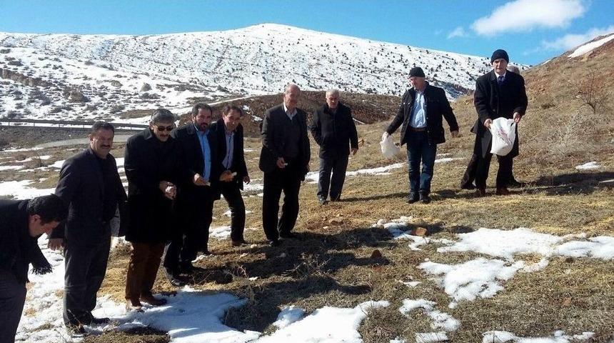 Sivas&rsquo;ta Doğaya Yaban Hayvanları İ&ccedil;in Yem Bırakıldı