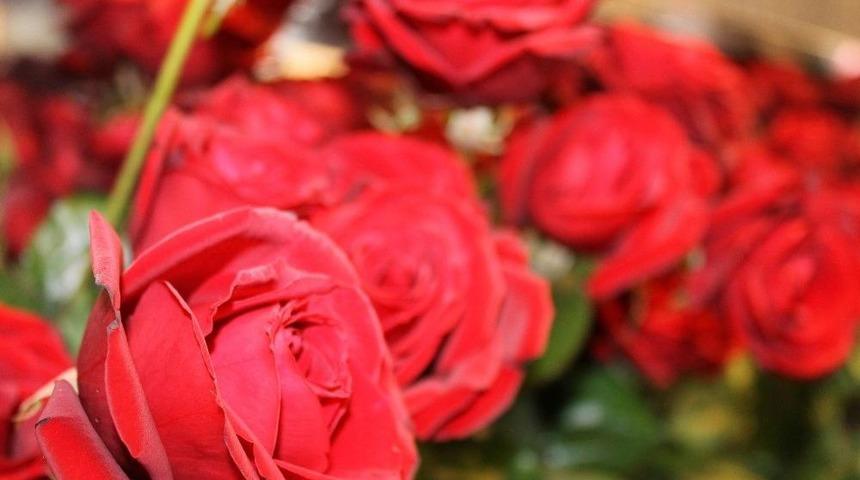 &Ccedil;i&ccedil;ek&ccedil;i Esnafı 14 Şubat Bereketini Yaşıyor