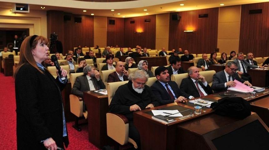 Ankara B&uuml;y&uuml;kşehir Sağlık İşleri Daire Başkanından Sokak Hayvanlarına İlişkin Brifing