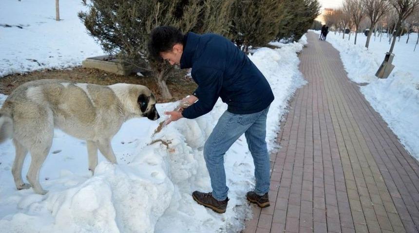 Selçuklu Gençlik Meclisi Sokak Hayvanlarına Sahip Çıkıyor