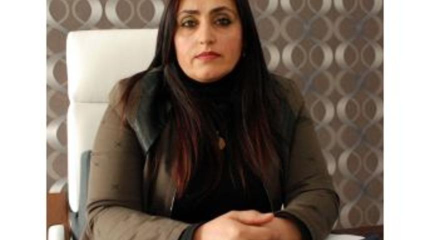 Bu Yıl Doğaya 2,5 Ton Yem Bırakıldı