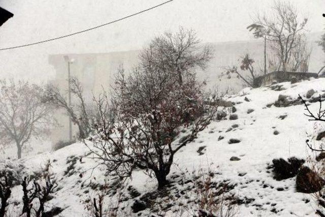 Şırnak'ta Kar Esareti: 2 Il Ile Bağlantı Yolu Kapandı