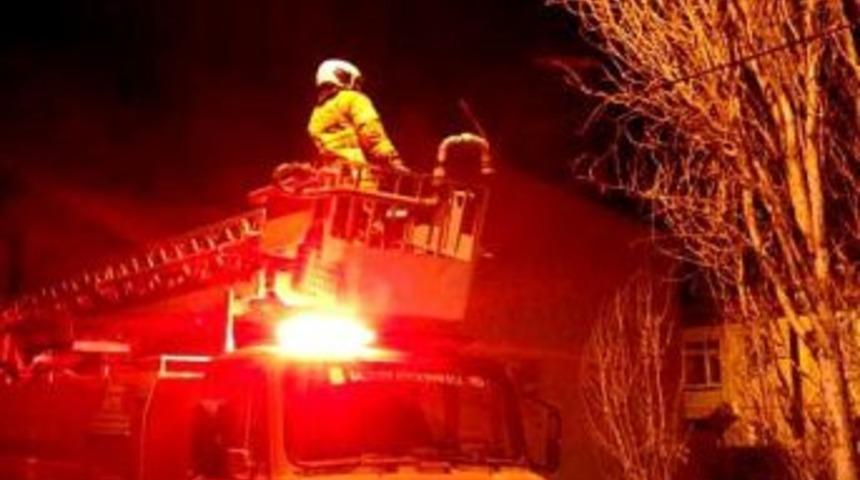 Burhaniye&rsquo;de Kavak Ağacına &Ccedil;ıkan Kediyi, İtfaiye Ekipleri Aşağıya İndirdi