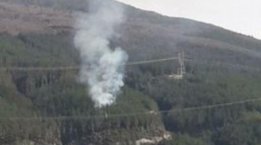 Hatay&rsquo;da Orman Yangını