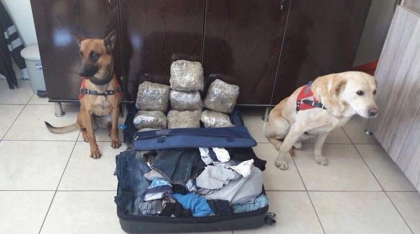 Yolcu Otob&uuml;s&uuml;yle Uyuşturucu Sevkiyatı Jandarmaya Takıldı