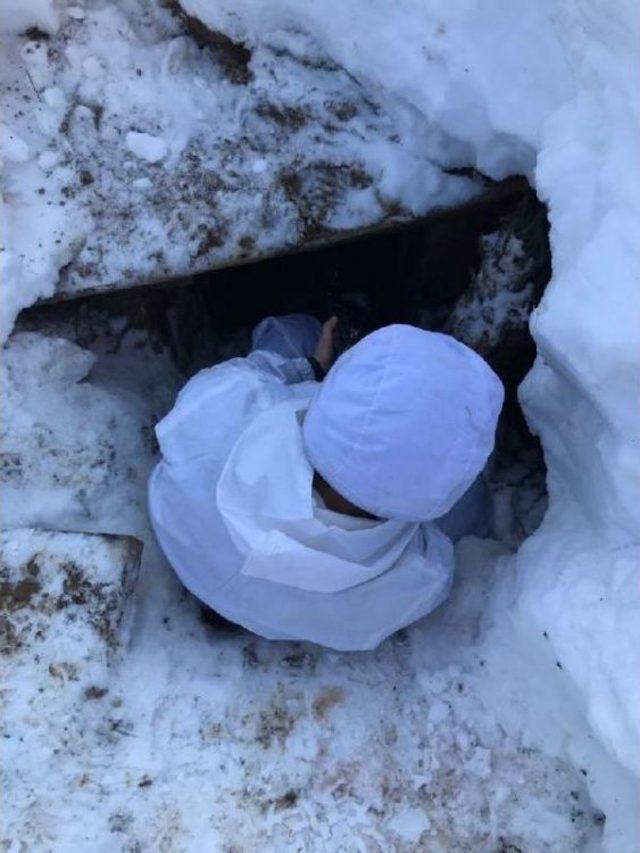 Tunceli'de Tespit Edilen 5 Sığınakta 450 Kg Amonyum Nitrat Ele Geçirildi