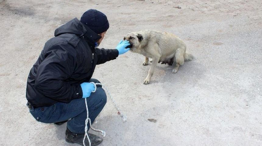 Whatsapp&rsquo;a Gelen İhbarla Onun Da Bir Evi Oldu