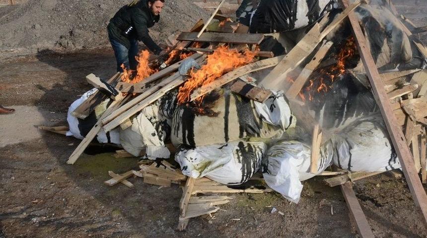 Aksaray&rsquo;da 1 Ton 180 Kilo Esrar Yakılarak İmha Edildi