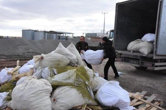 Aksaray'da 1 Ton 180 Kilo Esrar, Yakılarak Imha Edildi