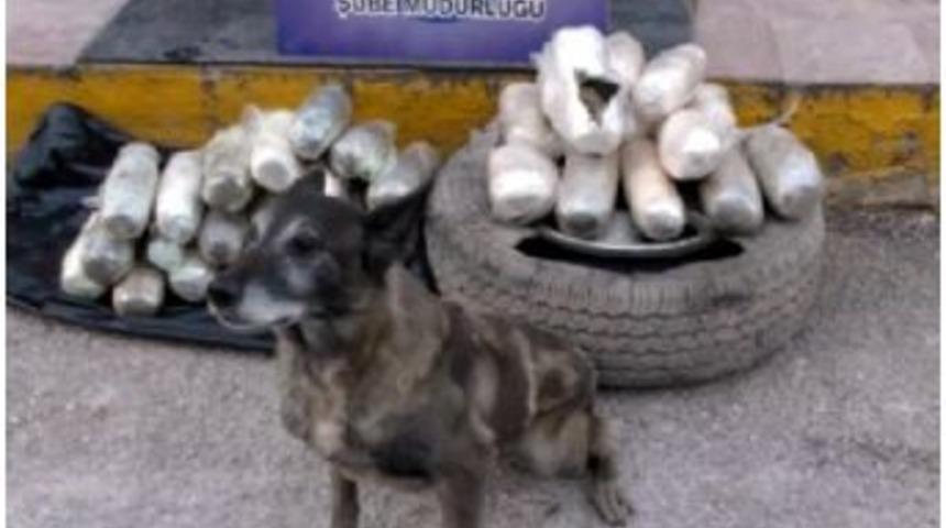 Uşak&rsquo;ta 23 Kilo 500 Gram Esrar Yakalandı