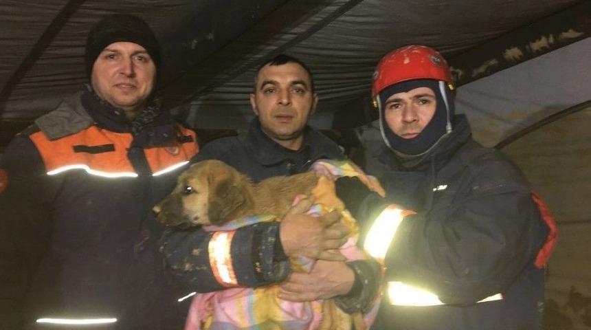 Kuyuya D&uuml;şen Yavru K&ouml;pek 10 G&uuml;n Sonra Kurtarıldı