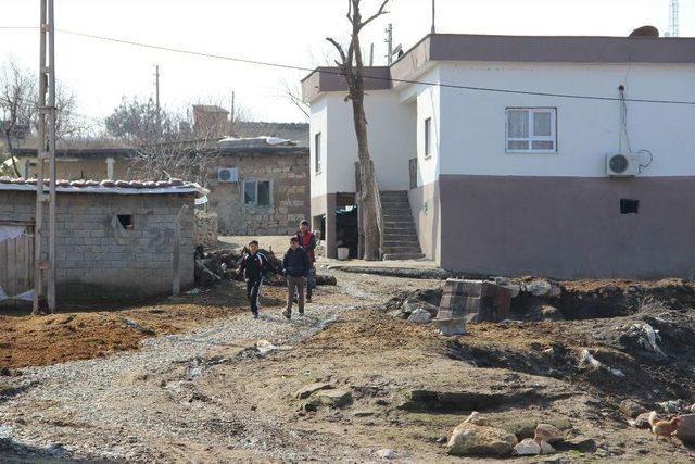 Bu K&ouml;ye &lsquo;hurdacıların&rsquo; Girmesi Yasak 1