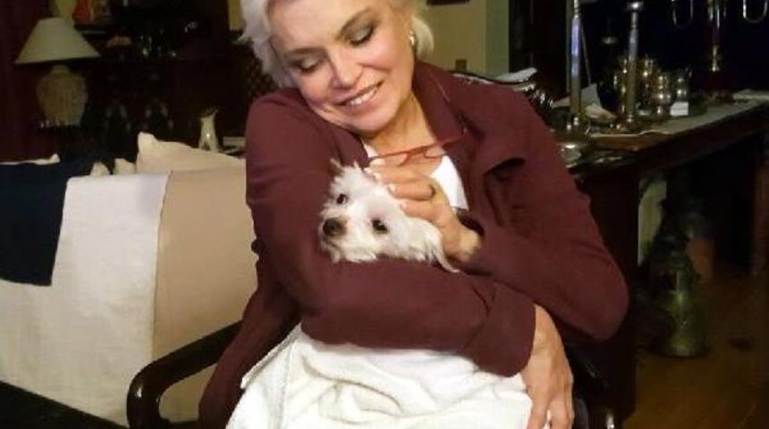 G&uuml;lg&uuml;n Feyman'ın Kaybolan K&ouml;peği 1 Hafta Sonra Bulundu