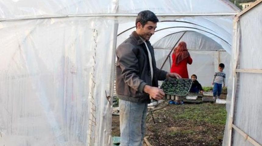 Gazipaşalı &Uuml;reticinin Alternatif &Uuml;r&uuml;n&uuml; Ada&ccedil;ayı